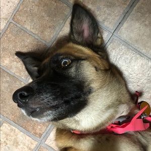 Meet your Posher, Ellen